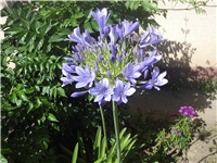 626725c8-Picture 017.jpg